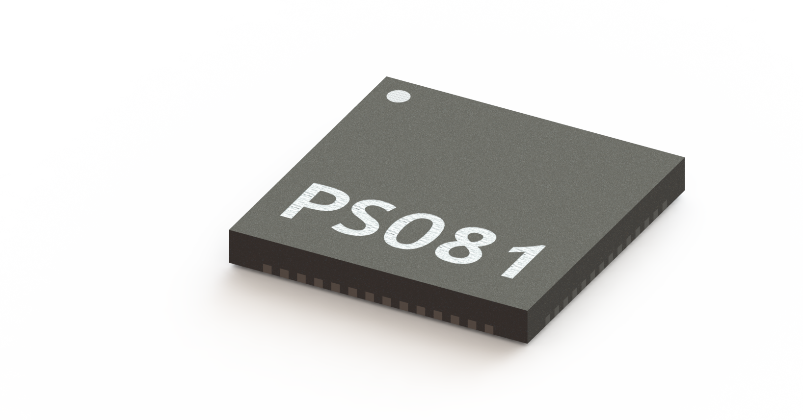 PS081 Resistance-to-Digital Converter